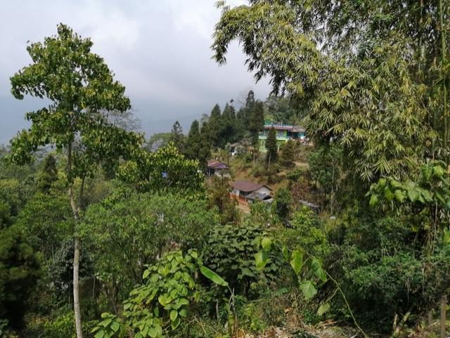 View of the hills around the school